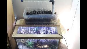 Dimulai dari cara membuat aquarium yang sederhana berbahan barang bekas seperti botol dan botol bekas, hobi ini sudah dapat dijalankan. Playtube Pk Ultimate Video Sharing Website