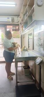 Pet Palace Better Living 💞🪽