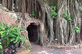 National register of historic places. Key West Garden Club Key West Fl 2021 Review Ratings Family Vacation Critic