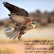Pin By 24x5 On مما راق لي Funny Arabic Quotes Arabic Quotes Photo Quotes