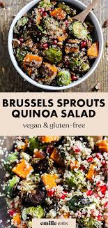 Fall Brussels Sprouts Quinoa Salad Emilie Eats Recipe In 2020 Vegan Recipes Healthy Healthy Vegetarian Dinner Brussel Sprouts