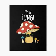 Image result for 5832554891 man