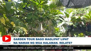 Check spelling or type a new query. Philodendron Jungle Boogie Care Tips Techniques Youtube