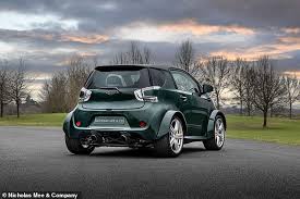 Image result for Copper Chestnut 2012 Cygnet