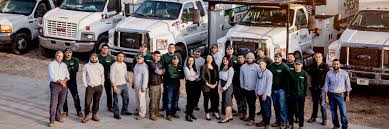 Here we will discuss how long tree removal typically lasts, and what factors affect the time it takes for arborists to get the job the size of the tree is the main factor that affects the process of removal. Tree Service Atlanta Tree Removal Atlanta Ga Sesmas Tree Service