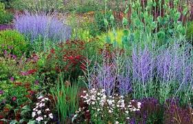 Influential Designers Piet Odoulf Prairie Planting Perennials Small English Garden