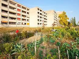 Parfois, je me dis que je suis une drôle de jardinière… si je fais le tour du jardin et donc. Jardins Potagers