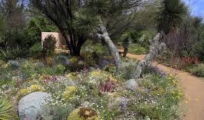 Maybe you would like to learn more about one of these? Boyce Thompson Arboretum Wikipedia