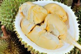 Salah satu sumber nutrisi yang baik untuk ibu hamil ada dalam brokoli, seperti kalsium dan asam folat. Jangan Percaya Mitos Ibu Hamil Tidak Dilarang Makan Durian