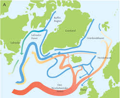 Vinteren er der endnu ikke mange der vælger, men et besøg med torshavn som base og med ganske få turister, skal det nok vække interesse med tiden. Rytmiske Klimaaendringer Lex Dk Naturen I Danmark