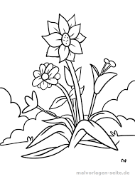Malvorlage Blumen Pflanzen Malvorlagen Blumen Malvorlagen Ausmalbilder