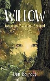 Willow by Don Bourque