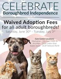 We did not find results for: Waived Adoption Fees For All Adult Boroughbreds At Animal Care Centers Of Nyc Celebrate Boroughbred Independence June 30th July 3rd Nyc