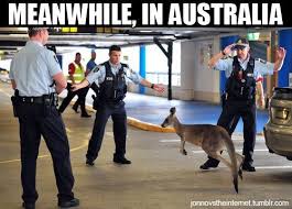 Meanwhile Down Under In Australia Aussie Memes Meanwhile In Australia Australian Memes