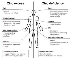 Zinc Deficiency Is A Risk Factor For Autoimmunity And Multiple Sclerosis 2017 Vitamindwiki