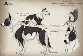 Pin By Raphaels Wolfgang On Anime Animals Canine Drawing Dog Design Art Canine Art