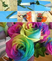 Order flower delivery to conroe, tx. Diy Make Rainbow Roses