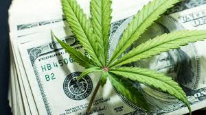 Researches, develops and sells products made of industrial hemp. 30 Marijuana Stocks To Buy As The Future Turns Green Investorplace