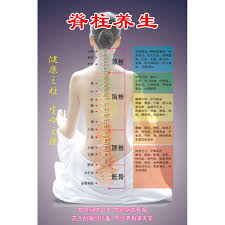 Chinese Medicine Spine Health Shoulder And Neck Spine
