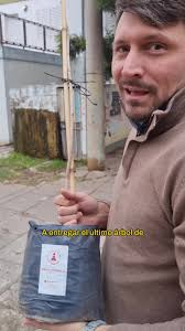 Plantar árboles en San Francisco: un compromiso futuro