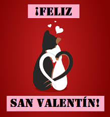 Here is a little vocabulary to get you started Spanish Valentine S Day Words Phrases Study Com
