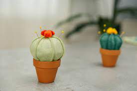 It makes a perfect gift for quilters and crafters or a fun addition to a bonus: How To Make A Diy Cactus Pin Cushion Dunn Diy