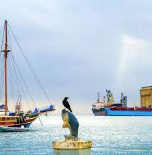birds and boats in port sudan red sea طيور و قوارب في بورتسودان السودان sudan portsudan redsea boats birds photo sailing ships sailing