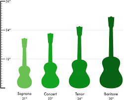 If whether you choose a style with drawers or without, we've got a wide range of different sizes too. Ukulele Sizes The Definitive Guide 2020 Edition