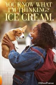 Pin By Maryem Laadidaoui On Popcorn Movies A Dogs Purpose Movie A Dog S Journey A Dogs Purpose Quotes