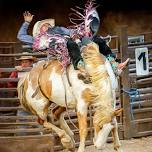 Snowmass Rodeo