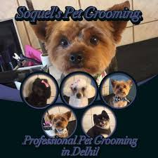 Our main objective is to incorporate the skills necessary for our students to graduate from our. Soquel S Pet Grooming Home Facebook