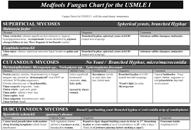 Free Downloads Scutsheets Patient Trackers Patient Info