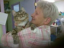 Jean Broom Obituary (2017)