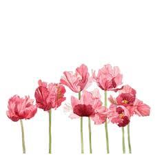 Aesthetic Flowers Transparent Largest Wallpaper Portal largest wallpaper portal