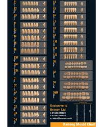 Kaitong Mould Chart Teeth Catalogue