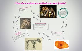 However, not all dinosaur bones that are radioactive are discovered in the areas. How Do Scientists Use Radiation To Date Fossils By Darlene Marcos