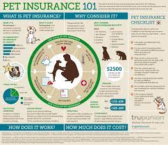 Here are just a few of the ways sonnet pet insurance provides care for your pet: Pet Insurance Is It Worth It