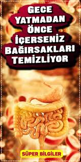 Gece Yatmadan Once Icerseniz Bagirsaklari Temizliyor Dogal Saglik Saglikli Yasam Tarzi Saglikli Yasam
