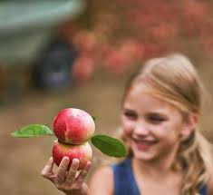 Open Monumentendag Dag van de Landbouw Bloedinzamelingen