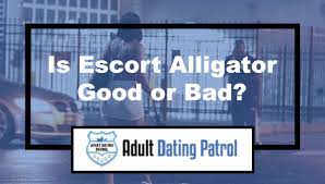 Escort Alligator Review - Can The Call Girl Site Be Trusted?