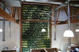 Willow Street Realty Livewall Green Wall System Wall Systems Green Wall Willow Street