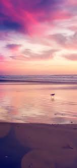 Sunset Beach Bird Iphone X Wallpaper Beach Wallpaper Iphone Beach Wallpaper Sunset Wallpaper