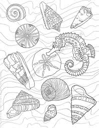 Click on print link of your choice, if you want a sea urchin image for coloring yourself then you need to click on print sea urchin coloring page (b/w) link. Coloring Page A Seahorse Among Seashells A Sea Urchin And Etsy In 2021 Coloring Pages Sea Shells Beach Coloring Pages