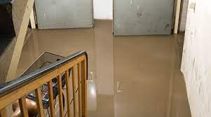 Basement Water Damage - What You Need to Know