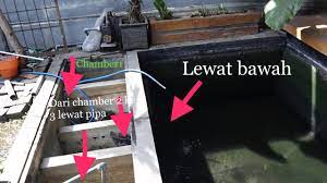 Ikan koi, desain filter kolam koi, cara menyaring kotoran koi, struktur filter kolam ikan. Sirkulasi Air Dari Kolam Ke Chamber Filter Pada Kolam Koi Minimalisku Youtube