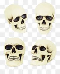 Maybe you would like to learn more about one of these? Tulang Wajah Unduh Gratis Tulang Tengkorak Kerangka Komputer Grafis 3d Tengkorak Gambar Png
