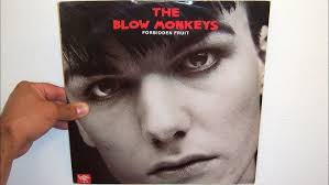 Blow Monkeys