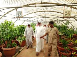 دعت وزارة البيئة والمياه والزراعة الموردين الراغبين في الحصول على تراخيص استيراد الخضروات والفواكه الطازجة إلى سرعة التقدم للحصول على التراخيص اللازمة قبل انتهاء المهلة المحددة من قبل الوزارة، والمقرر لها اعتباراً. Ø²ÙŠØ§Ø±Ø© ÙˆÙƒÙŠÙ„ Ø§Ù„ÙˆØ²Ø§Ø±Ø© Ù„Ø´Ø¤ÙˆÙ† Ø§Ù„Ø²Ø±Ø§Ø¹Ø© Ù…Ø´Ø§ØªÙ„ Ù…ÙƒØªØ¨ ÙˆØ²Ø§Ø±Ø© Ø§Ù„Ø¨ÙŠØ¦Ø© ÙˆØ§Ù„Ù…ÙŠØ§Ù‡ ÙˆØ§Ù„Ø²Ø±Ø§Ø¹Ø© Ø¨Ù…Ø­Ø§ÙØ¸Ø© Ø¬Ø¯Ø©