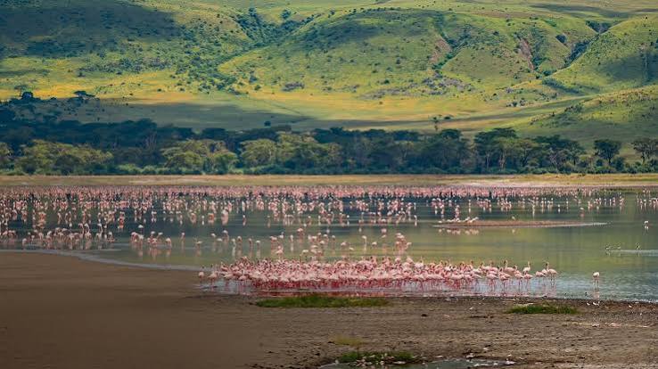 Lake Manyara
