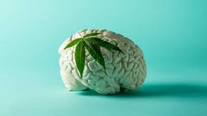 Maybe you would like to learn more about one of these? What Happens If You Smoke Weed Everyday Benzinga